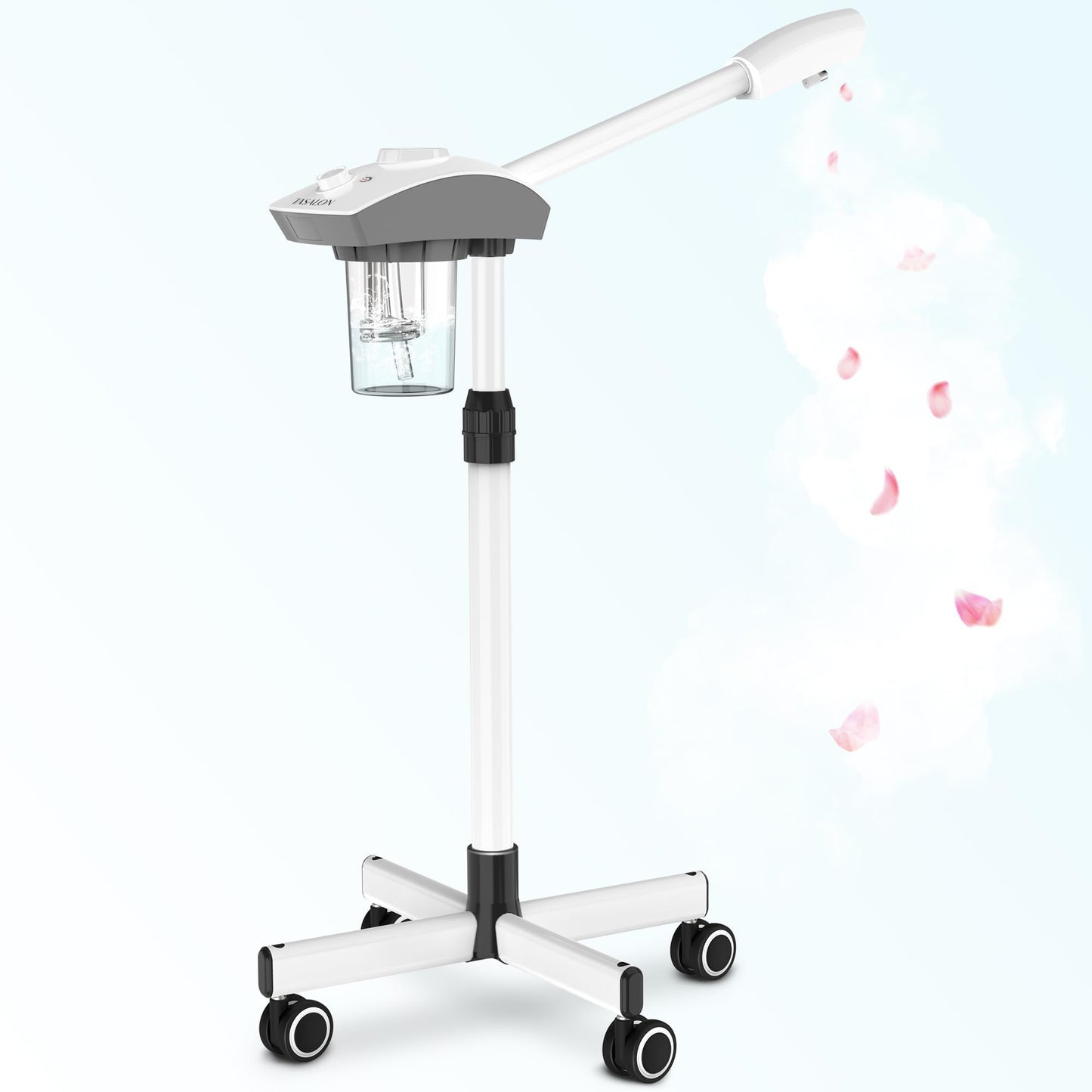 TASALON Professional Facial Steamer