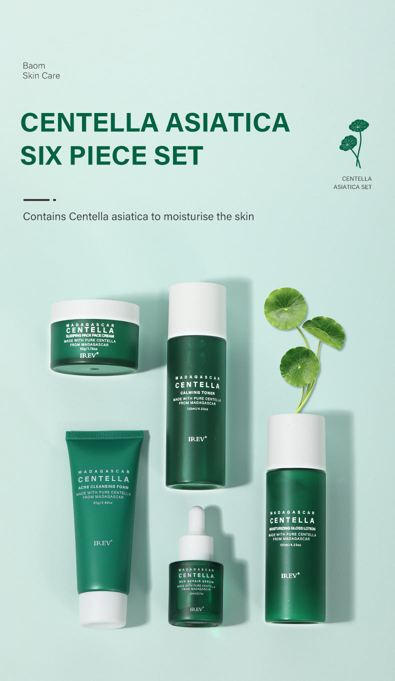Zenvia Beauty Centella Skin Repair Kit with skincare products and tools for soothing and healing skin.