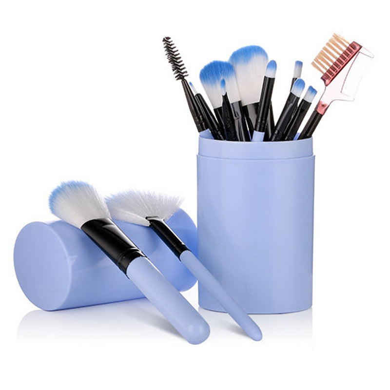 Zenvia Beauty 12-piece makeup brush set with various brushes for foundation, eyeshadow, and blending on a white background.